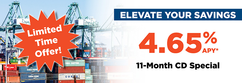 Elevate Your Savings with a 4.65% APY* 11-Month CD.