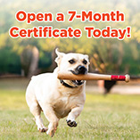 Open a 7-Month Certificate Today!
